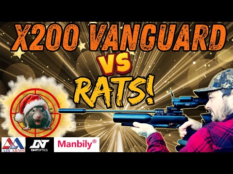 Air Arms X200 Vanguard Vs rats | Is it any good? |Epic  Pest Control with the  X200 and DNT Zulus V2