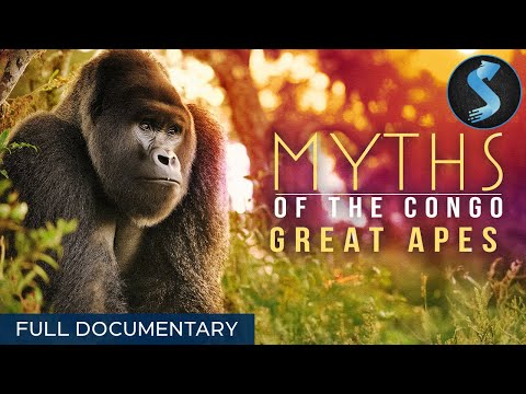 Gorillas, Chimps, and Bonobos of the Congo | Full Wildlife Documentary | Myths of Congo: Great Apes