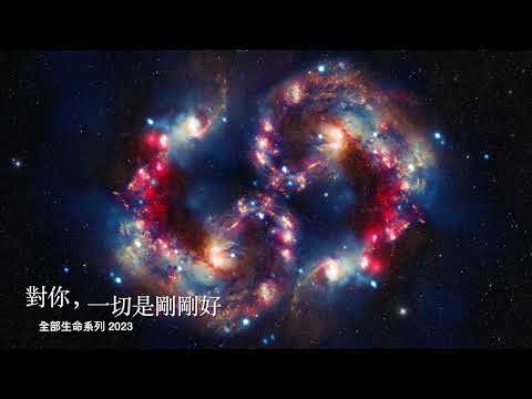 楊定一：對你，一切是剛剛好