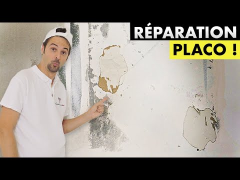 Repairing placo with Torn Outer Layers – Pro Steps and Tips! 👍