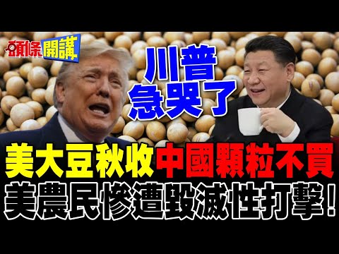 近30年來首次! | 美國大豆秋收中國一顆都不買逼急川普 美國農民慘遭毀滅性打擊!【頭條開講】完整版 @頭條開講HeadlinesTalk