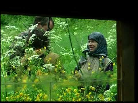 Город Абаза | Передача “В гости к Агафье Лыковой” (Архив видео 2006 года)