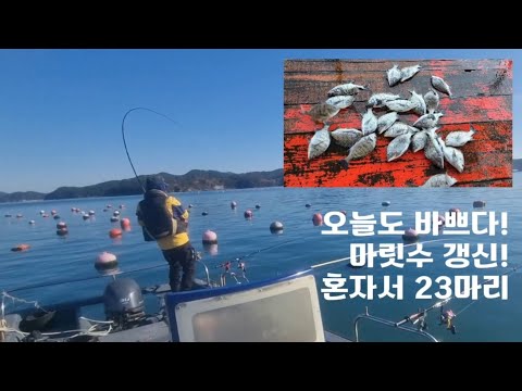 감성돔 카고낚시 방금던진건 항상 유심히 봐야합니다
