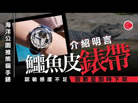 有線新聞 晚間新聞｜海洋公園推售「鱷魚皮」熊貓陀飛輪錶　認不符保育價值　致歉並即時下架｜貿易戰｜香港郵政續停收寄往美國內載貨品郵遞服務、直至另行通告｜即時新聞｜HOY TV NEWS｜20250207