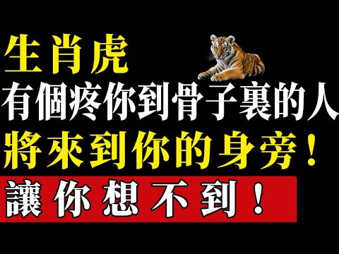 生肖虎：就在這個12月，有個疼你到骨子裏的人將來到你的身旁！讓你想不到！#陳天師玄訣 #生肖#家運 #運勢 #風水 #財運 #命理#屬相運勢