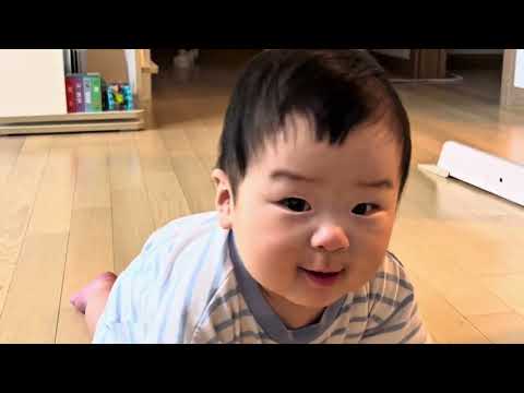 [돌잔치 성장영상] 1년동안 아기는 무엇을 하면서 클까? (눈물 없음 주의ㅋㅋ)