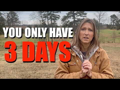 IT'S COMING // GET THESE NOW ...... DON'T WAIT