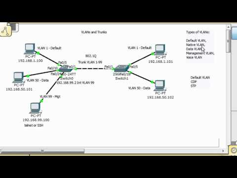 VLANs and Trunks for Beginners - Part 5