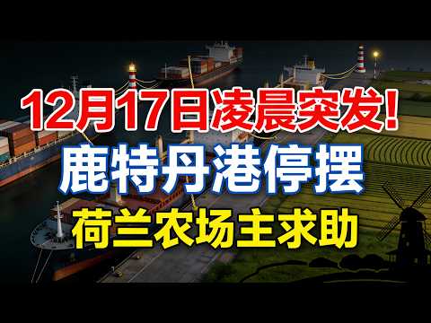 动了新加坡的奶酪？海南封关如何让中小企业赚翻，普通人躺赢？#海南封关2025#亚洲贸易变局#新加坡VS海南#自贸港机遇#零关税时代#一带一路新动态#跨境电商新风口#全球贸易规则重塑