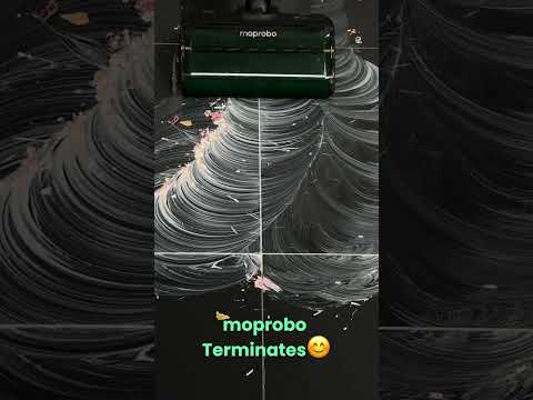 This is a cleaning war: moprobo VS steam mop