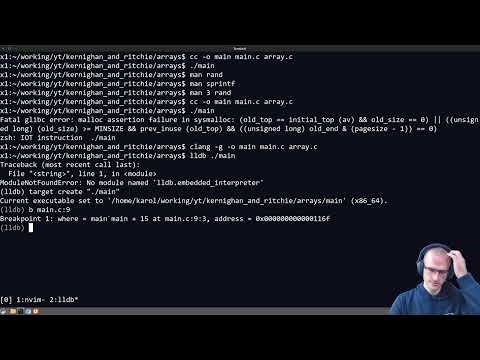 Let's Implement a Dynamic Array in C; Fetching Data from SQLite into Memory