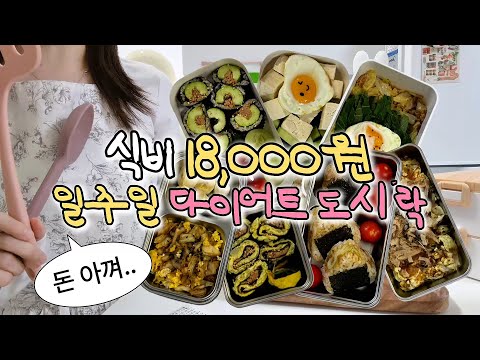 일주일 18,000원으로 다이어트 도시락 만들기 🔥 식비 절약 직장인 다이어터 브이로그