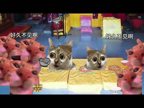 猫meme的日常-当你打了和尚还去寺庙？！！！ #猫meme  #猫meme小剧场 #猫meme剧场 #内容过于真实 #搞笑