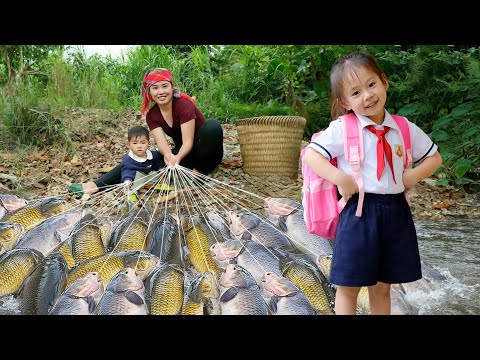 Bumper Fish Catch using Traditional Fishing Methods of Duong | Walking Nhi to School | Village Life