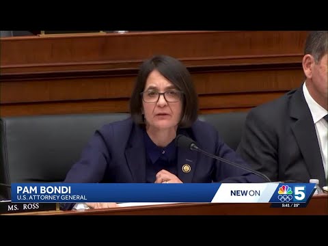 Balint, Bondi argue over Epstein files, slain border agent