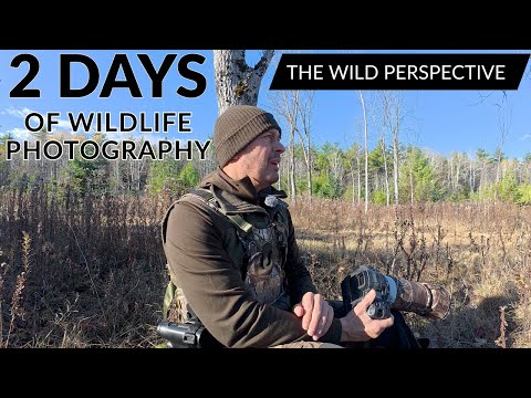 Life as a PRO Wildlife Photographer | 2 Days in the FIELD | Hints & Tips