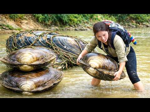 Catching 2100kg+ giant freshwater mussels in mud pond for market sale – Mussel porridge recipe