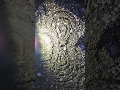 Newgrange Facebook livestream 23 December 2025