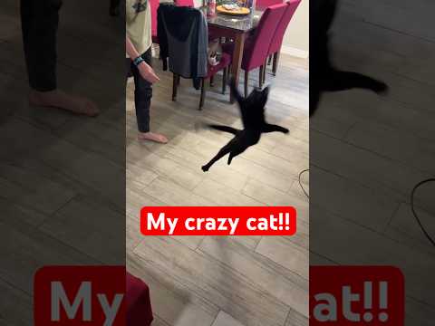 I didn’t know he could jump that high!