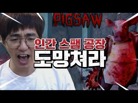 [케인] 막다른 길에 돼지의 슬픔 PIGSAW 210629