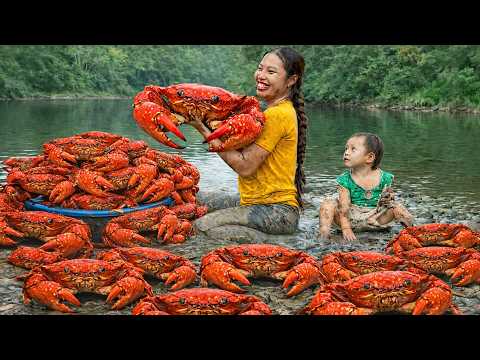 Harvesting Crabs After A Heavy Rain – Taking Crabs To The Market To Sell With My Child