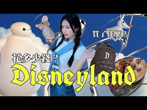 人生在迪士尼花最多的一次...加州迪士尼總花費公開！玩得爽要花多少錢？