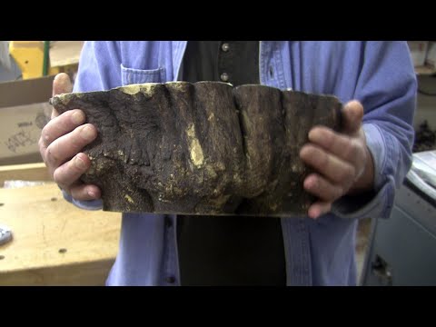 The Bloody Stump! - Wood Turning