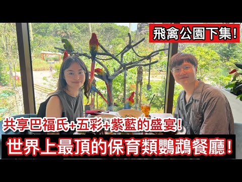 最奢華的饗宴！與稀有保育類金剛鸚鵡共進午餐？！超近距離觀察大綠金剛與紅額金剛！感受鸚鵡、猛禽飛越頭頂的超精彩畫面！新加坡飛禽公園(下集)【鸚鵡小木屋】