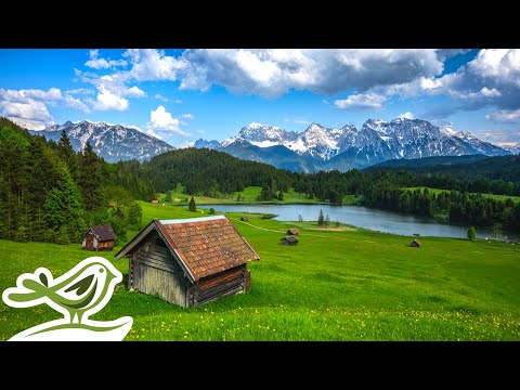 Beautiful Piano Radio 🎹 Relaxing Music for Sleep, Studying & Relaxation 24/7