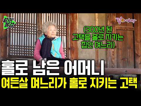 여든살 며느리가 지키는 300년 된 고택. 그곳엔 홀로 외로이 아이들을 기다리며 집을 지키고 있는 늙은 어머니가 있다. |노모| KBS 2018.09.22