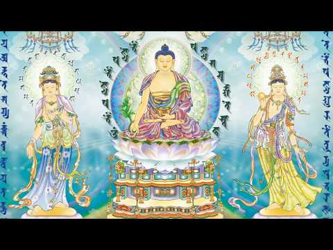 Nghe Kinh Dược Sư, Cầu Cho Bệnh Tật Mau Lành - Thầy Thích Trí Thoát Tụng Kinh