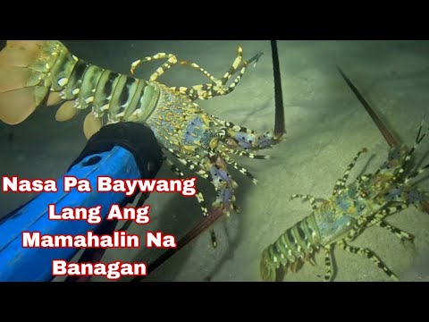 Ep 662 Nasa pa baywang lang Ang Mamahalin Na Banagan night spearfishing Philippines