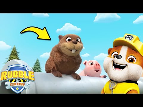 The Other Animals Of Rubble & Crew | Rubble and Crew | Cartoons for Kids