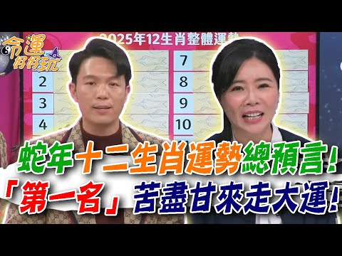 蛇年十二生肖運勢總預言！「第一名」苦盡甘來要走大運了！2025年超強吉運的人是你嗎？｜【命運好好玩每周精選】