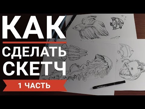 Как научиться делать скетчи (1 часть)