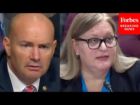 'Yes Or No?': Mike Lee Fiercely Grills Key Biden Official About 'Lost' Unaccompanied Children