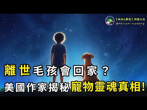 美國作家揭開寵物靈魂的奧秘，你的毛孩離世後會回來看你！|赫森&夏登