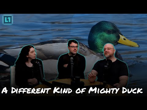The Level1 Links With Friends Show June 6 2025: A Different Kind of Mighty Duck