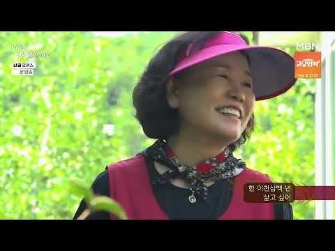 나는자연인이다 621회 산골 로맨스 (자연인 이현희 ♡강희자 )