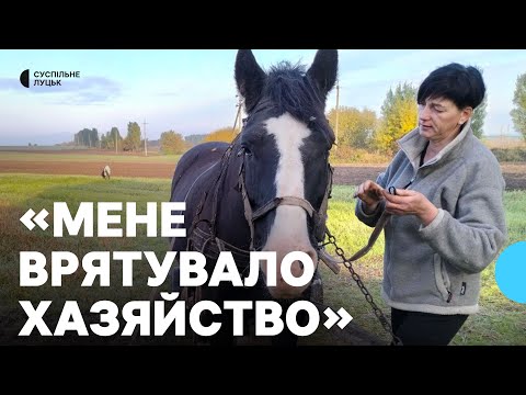 Чоловік на війні, а жінка тримає господарство: історія волинянки