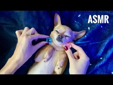 ASMR chaotic triggers that relax 🫠