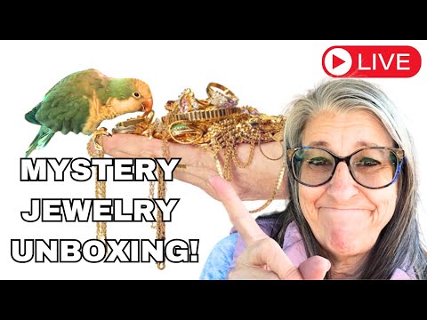 Sorting Jewelry From an Estate Sale Buy Out!