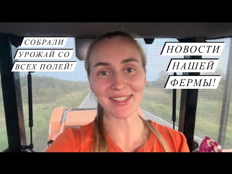 Как поживает голштинская корова в частном хозяйстве?! Вес моих поросят в месяц!