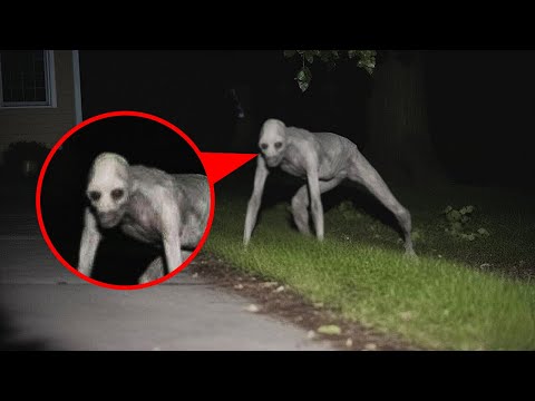 30 Creature Sightings That Keep Viewers on Edge Night After Night