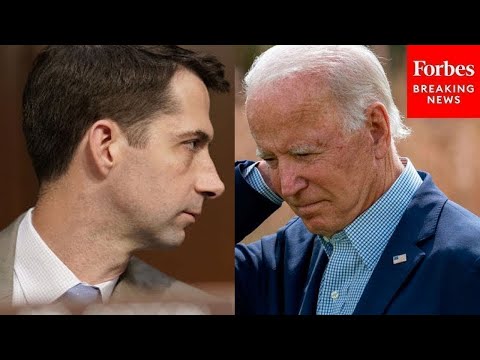 'Humiliating!': Tom Cotton Celebrates U.S. Attorney Rachael Rollins 'Resigning In Disgrace'