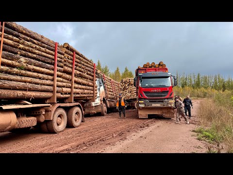 Стянуло лесовоз по глине. Осень.
