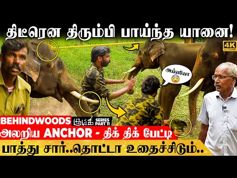 காட்டு யானையை நேரில் பிடிக்கும் காட்சி.. நொடிக்கு நொடி பதற்றம்! - உறைய வைக்கும் பேட்டி