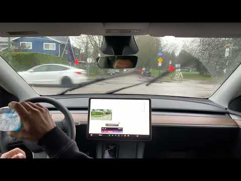 特斯拉FSDv14圣诞模式加grok接入驾驶视频