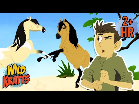Wild Pony Stallion Showdown | Creature Combat | Animals for Kids | Wild Kratts