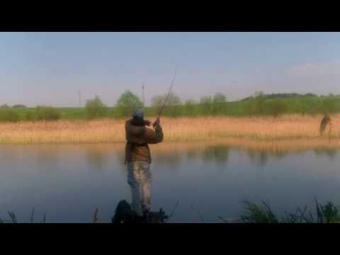 Ловля окуня на дроп шот в условиях заросших водоемов